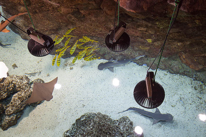 Lights above the shark tanks in the Scott Aquarium at the Henry Doorly Zoo & Aquarium were retrofit with more efficient bulbs, adding to the reduction in energy use seen overall at the zoo. Photo by Larry Larson