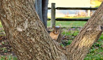 COLORS_May_I_Help_You_Cris