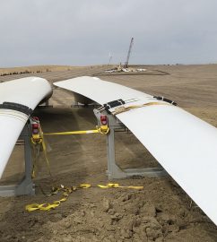 RENEW_Sholes Const Event_wide