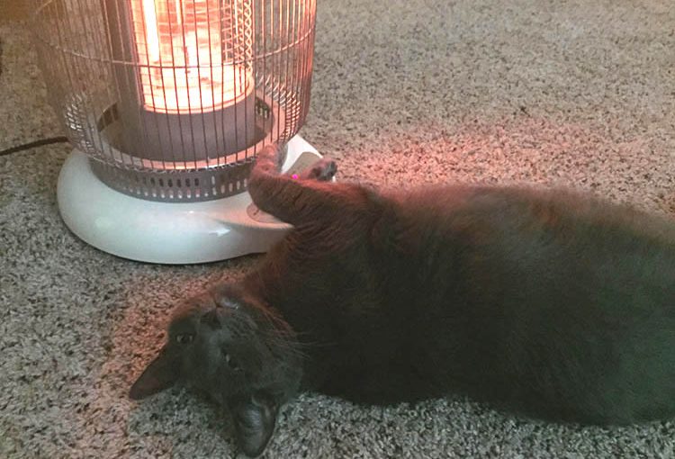 SAF_Space Heaters_homepage