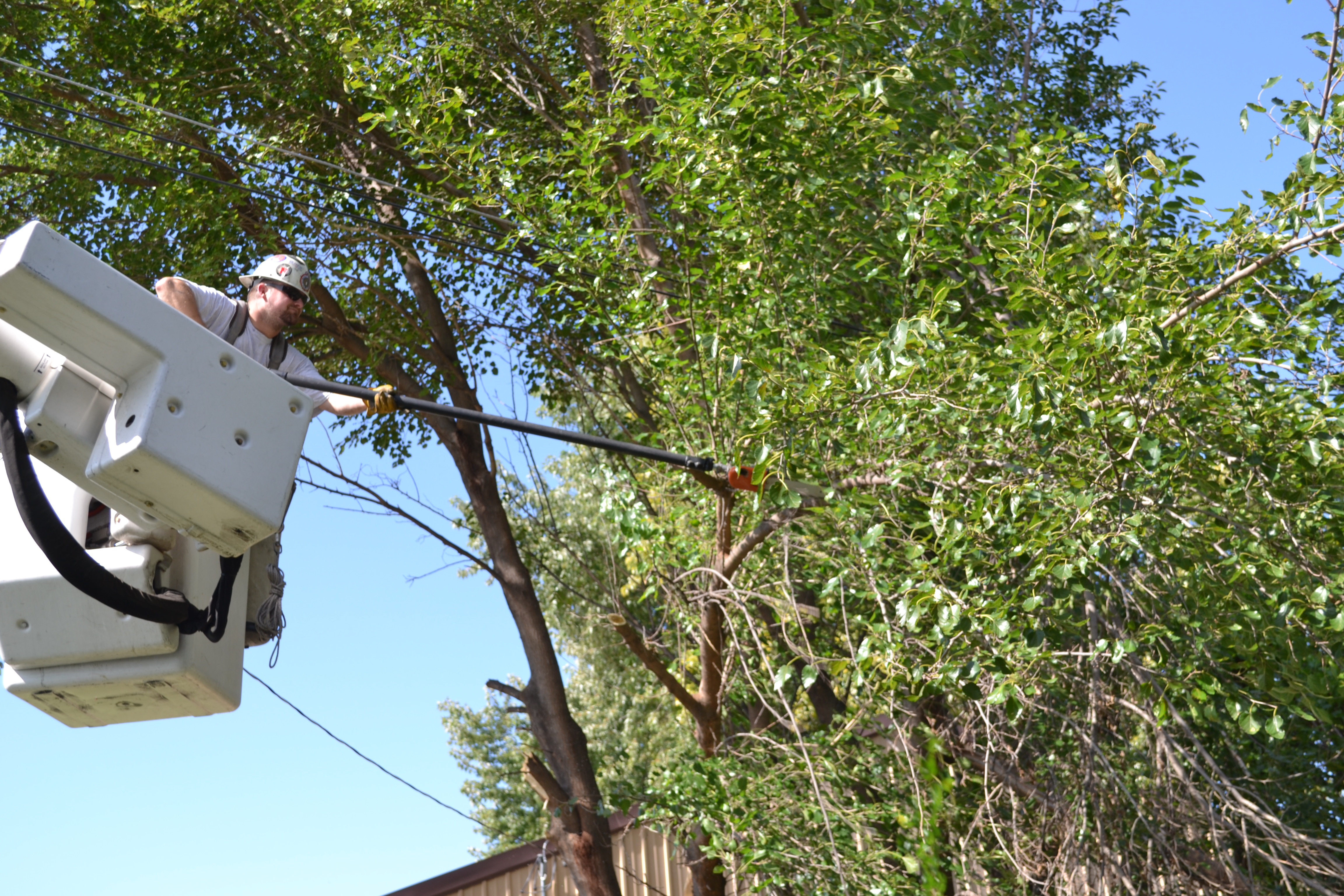 Troubleshooter Aaron Prohaska trims trees that had grown into the power lines at a workshop in LaPlatte. OPPD advises customers not to plant trees underneath power lines. For tree planting tips, visit oppd.com/trees.