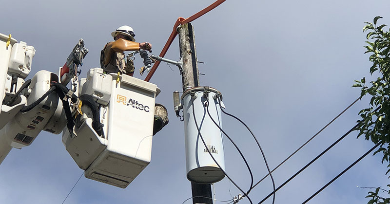 Squirrel guard attachment protects animals and power equipment