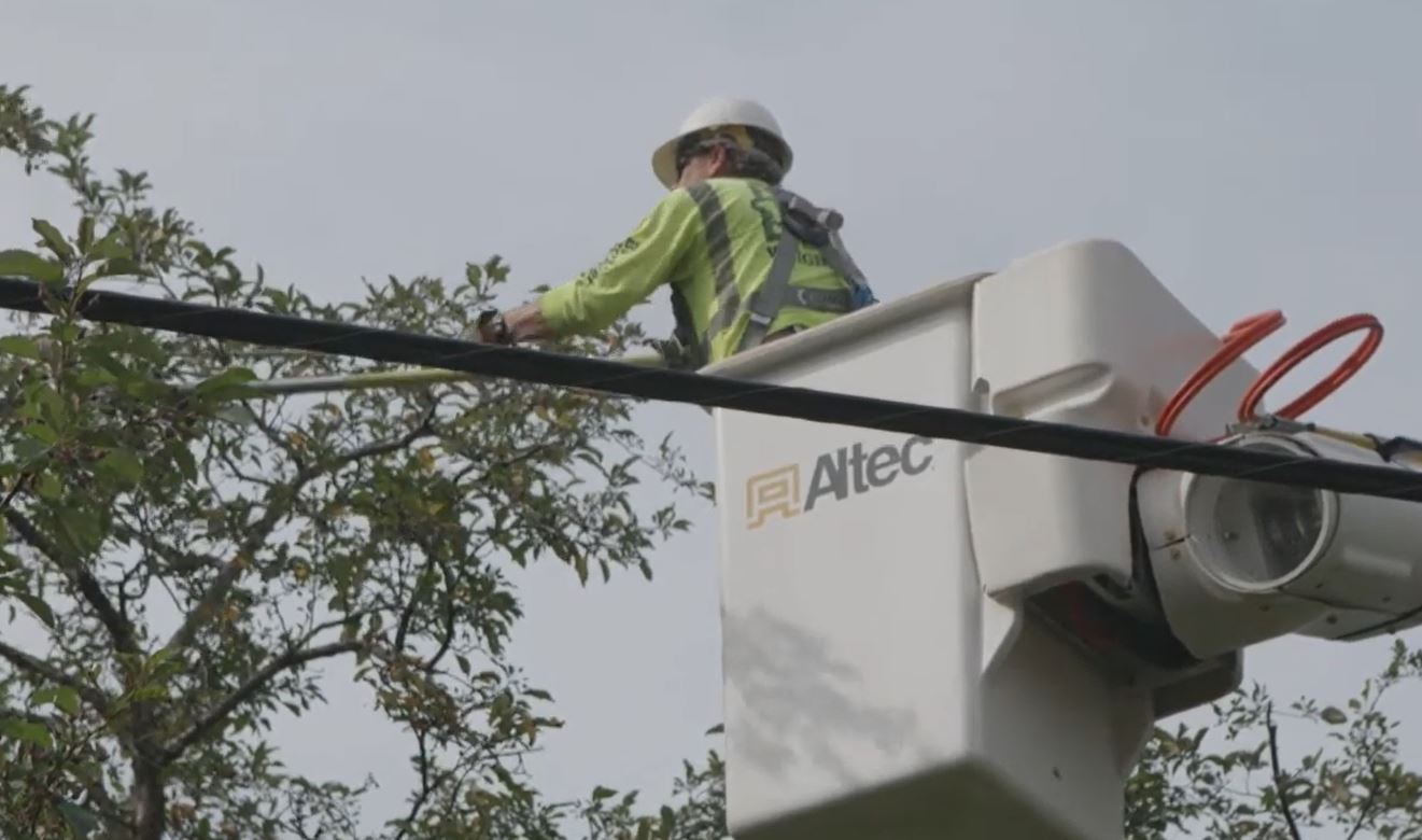 reliability, a tree-trimming crew works on trees near a power line