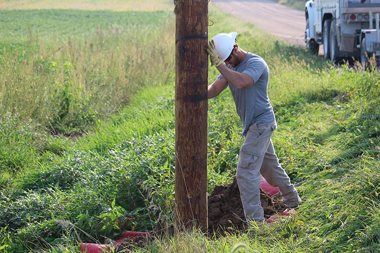 T&D_Apprentice Wrap Job_pole straight