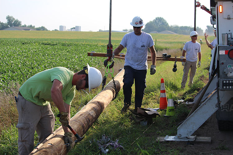 T&D_Apprentice Wrap Job_prepare to lift pole