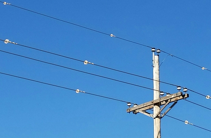 avian protection plan